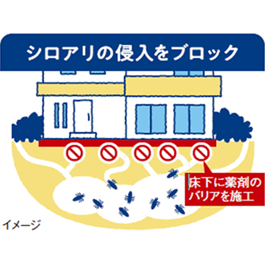 シロアリ駆除サービス（バリア工法） 施工写真1